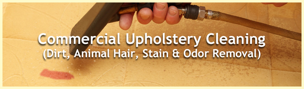 commercial upholstery cleaning hair stain odor removal