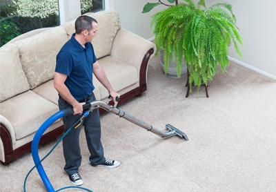 steam cleaner service for carpet and rugs