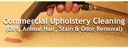 upholstery_cleaning_hair_stain_odor_removal_0